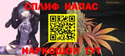 гашик Бузулук