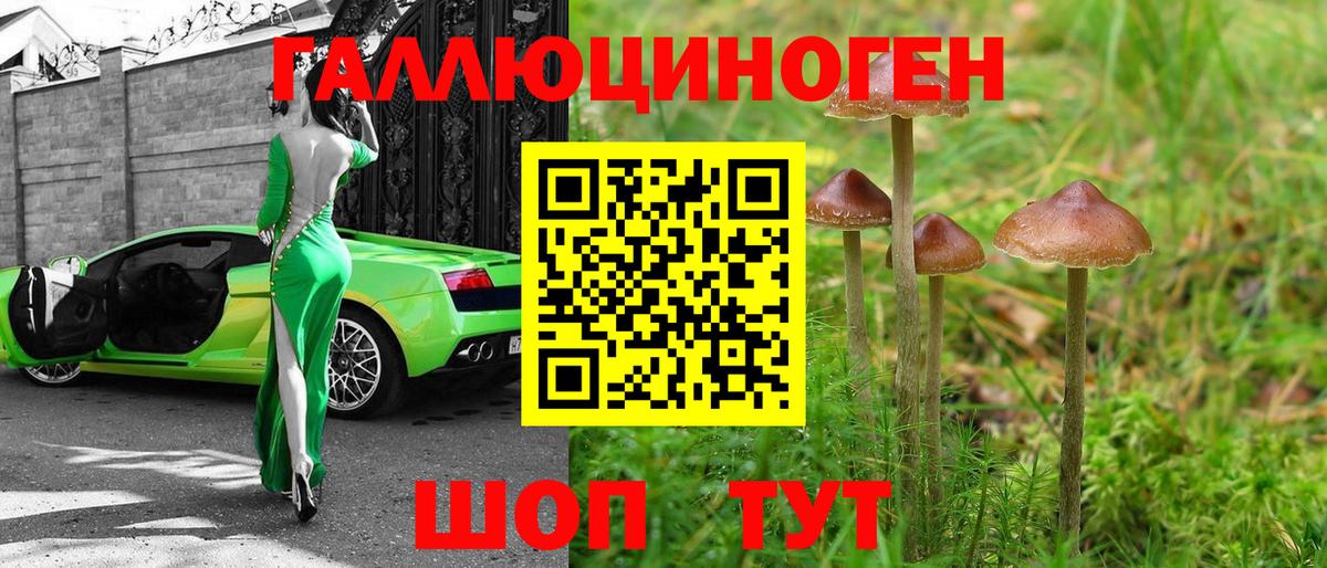 Галлюциногенные грибы Magic Shrooms  Вход с VPN  что такое   Галлюциногенные грибы GOLDEN TEACHER  Тула 